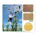 Flax Lignans SDG, Flax seed extract